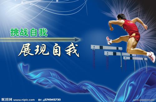 荷兰 Market Development Degrees